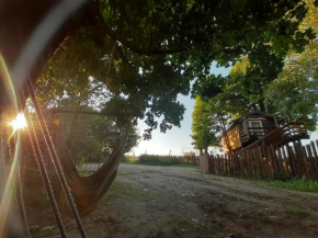 Podlasie Domek na drzewach